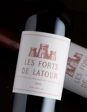 Chateau Latour - Les Forts De Latour - Aop Pauillac - Rouge - 2019 - 0,75