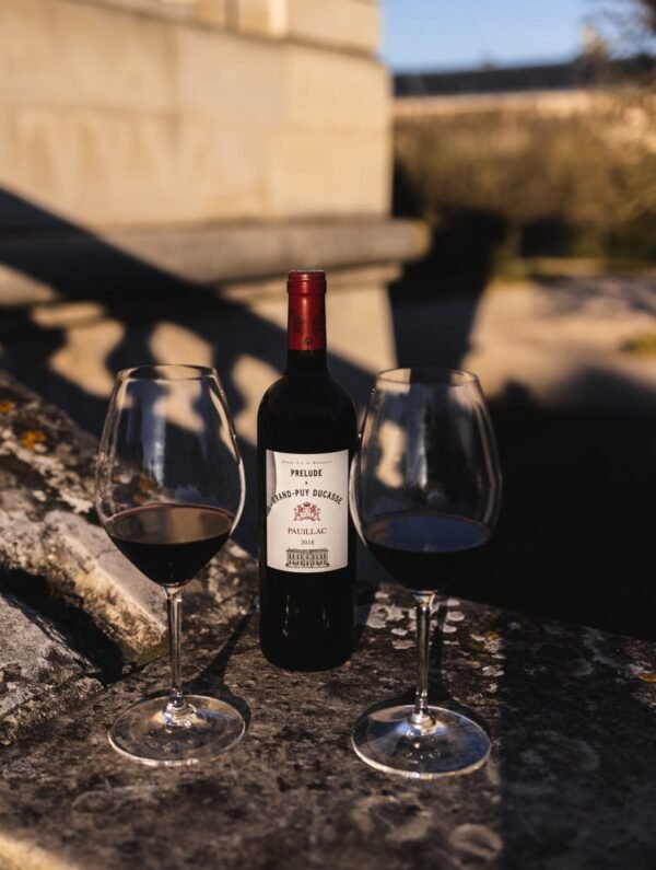 5f5ff40fa912657febfdf90bfb9a1994.jpg Chateau Grand Puy Ducasse - Prelude A Grand Puy Ducasse - Aop Pauillac - Rouge - 2016 - 0,75