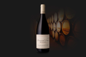 Domaine Joseph Voillot - Pommard 1er cru les Rugiens - Aop Pommard 1er cru - Rouge - 2022 - 0,75