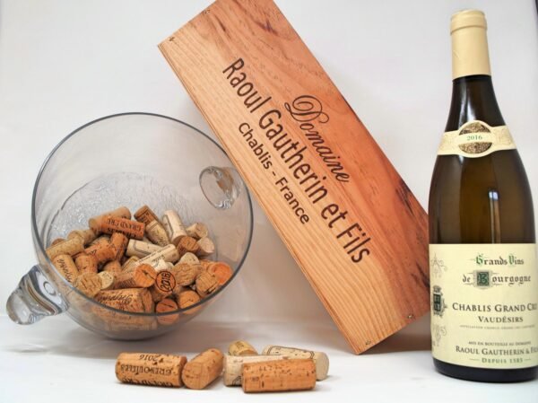 Domaine Gautherin - Chablis Grand Cru Vaudésirs - Aop Chablis Grand Cru - Blanc - 2023 - 0,75