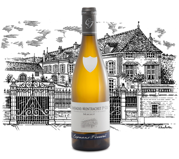cc-prod-1175-img1-1780331628002.png Domaine Capuano Ferreri - Chassagne Montrachet Premier Cru Morgeot - Aop Chassagne Montrachet 1Er Cru - Blanc - 2023 - 0,75