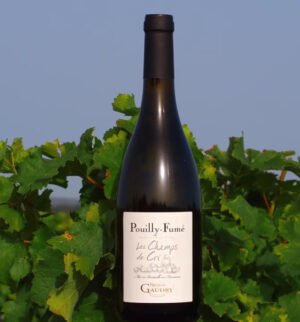 Nicolas Gaudry - Pouilly Fumé Les champs de Cri - Aop Pouilly Fumé - Blanc - 2022 - 0,75