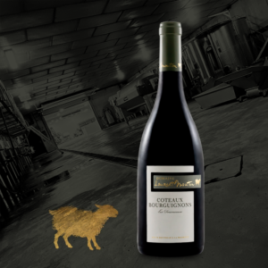 cc-prod-228-img1-1780329169544.png Domaine Laurent Mouton - Coteaux Bourguignons Les Fourneaux - Aop Coteaux bourguignons - Rouge - 2024 - 0,75