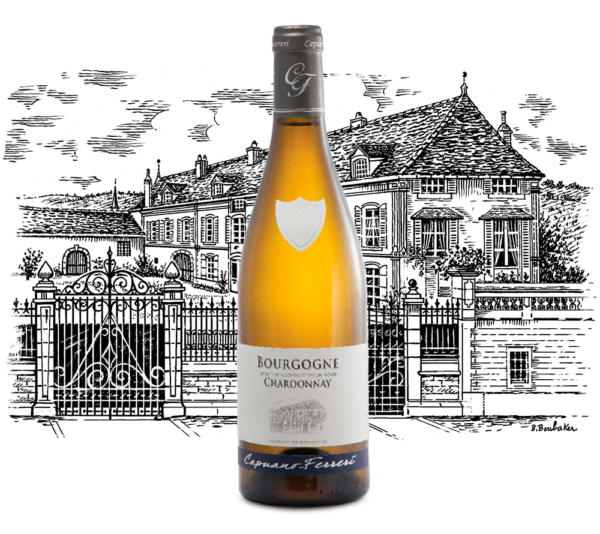 Domaine Capuano Ferreri - Bourgogne Chardonnay - Aop Bourgogne - Blanc - 2022 - 0,75