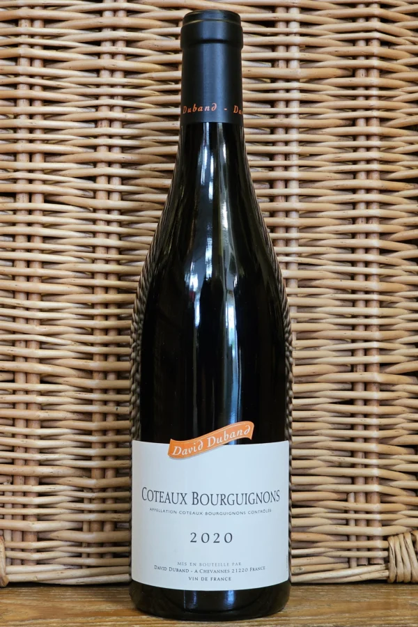 cc-prod-323-img1-1780329382060.webp Domaine David Duband - Coteaux Bourguignon - Aop Coteaux Bourguignon - Rouge - 2023 - 0,75
