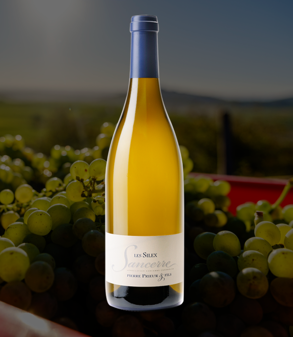 cc-prod-463-img1-1780329713279.png Pierre Prieur - Sancerre Les Silex - Aop AOP Sancerre - Blanc - 2023 - 0,75