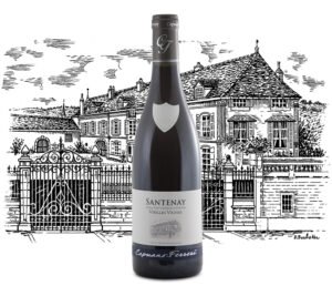 Domaine Capuano Ferreri - Santenay Vieilles Vignes - Aop Santenay - Rouge - 2022 - 0,75