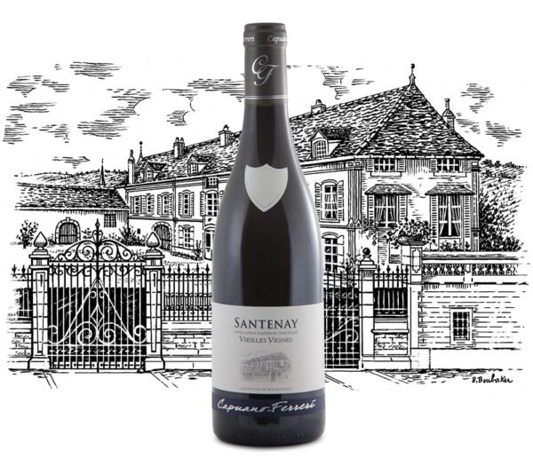 cc-prod-485-img1-1780329757683.jpg Domaine Capuano Ferreri - Santenay Vieilles Vignes - Aop Santenay - Rouge - 2022 - 0,75