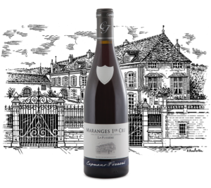 Domaine Capuano Ferreri - Maranges Premier Cru La Fussiere - Aop Maranges 1er Cru - Rouge - 2023 - 0,75