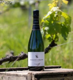 Champagne Fernand Lemaire - Tradition 1er Cru - Aop Champagne - Effervescent Blanc - NV - 0,75