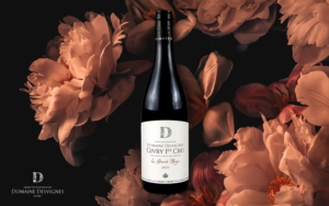 Domaine Desvignes - Givry 1er Cru La Grande Berge - Aop Givry 1er Cru - Rouge - 2022 - 0,75