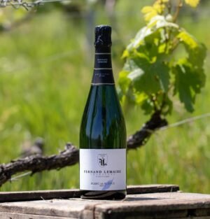 Champagne Fernand Lemaire - Blanc de Blanc 1er Cru - Aop Champagne - Effervescent Blanc - NV - 0,75
