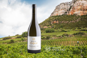 Domaine Gaillard - Pouilly Fuisse 1er Cru Sur la Roche - Aop Pouilly Fuissé 1er Cru - Blanc - 2023 - 0,75