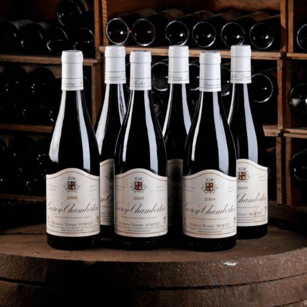 cc-prod-947-img1-1780331226270-1.png Domaine Thierry Mortet - Gevrey Chambertin - Aop Gevrey Chambertin - Rouge - 2022 - 0,75