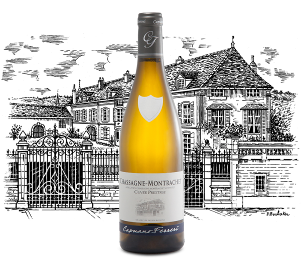 cc-prod-973-img1-1780331296608.png Domaine Capuano Ferreri - Chassagne Montrachet Cuvée Prestige - Aop Chassagne Montrachet - Blanc - 2023 - 0,75